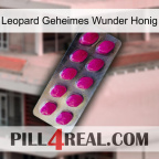 Leopard Secret Miracle Honey 09
